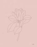 Magnolia Line Drawing Pink