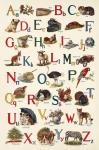 Schoolhouse Alphabet