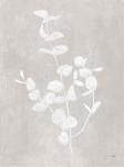 Botanical Study II Neutral Crop