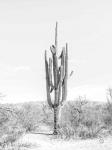 Standing Alone