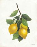Lemon Branch III