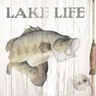 Lake Fishing II