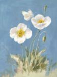 White Poppies I