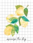 Summer Lemons Sentiment II