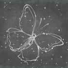 Silver Wings I