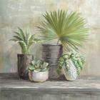 Indoor Garden Gray