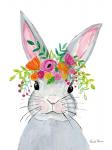 Sweet Rabbit