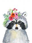 Sweet Raccoon