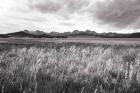 Sawtooth Mountains Idaho II BW