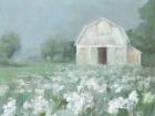 White Barn Meadow