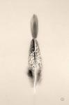 Floating Feathers I Sepia