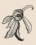 Ink Sketch Flower