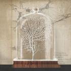 Coral Cloche I