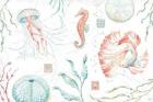 Delicate Sea I