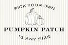 Pumpkin Patch