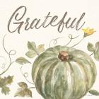 Happy Harvest VII Grateful