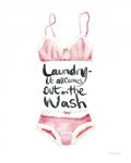 Lingerie Laundry I