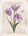 Antiquarian Blooms III Purple