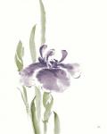 Japanese Iris II Purple Crop