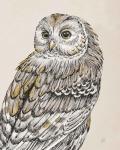 Beautiful Owls III Vintage
