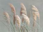 Pampas Grasses on Gray