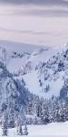 Tatoosh Range Triptych I