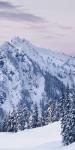 Tatoosh Range Triptych II