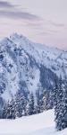 Tatoosh Range Triptych II