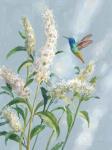 Hummingbird Spring II Soft Blue