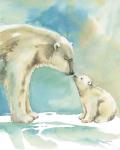 Polar Bear Love