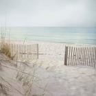 Beach Fence