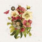 Vintage Petals VII