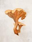 Woodland Mushroom IV