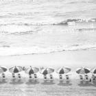 A Day At The Beach BW Crop