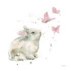 Dreaming Bunny I