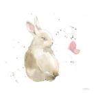 Dreaming Bunny II