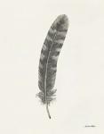Springtime Feather I