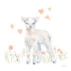 Spring Lambs II