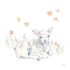 Spring Lambs III