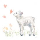 Spring Lamb IV