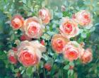 English Roses