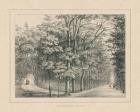 French Park Etching II