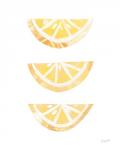 Lemon Slices I