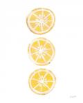 Lemon Slices II