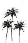 Dark Palms I