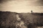 Nantucket Light Sepia