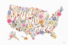 Wild Meadow USA