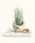 Grown at Home I Cream