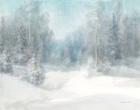Peaceful Winter