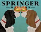 Springer Burgers